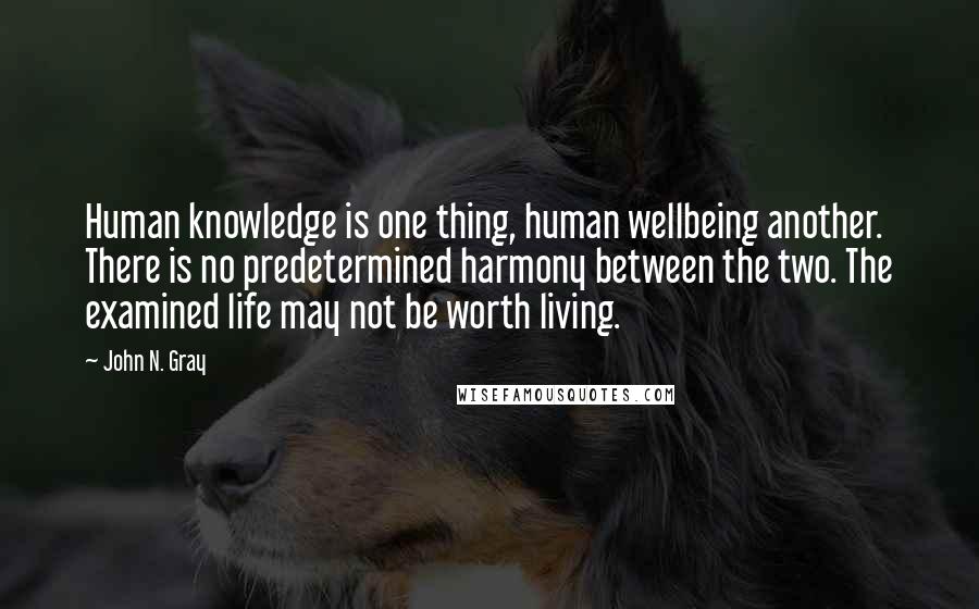 John N. Gray quotes: Human knowledge is one thing, human wellbeing another. There is no predetermined harmony between the two. The examined life may not be worth living.