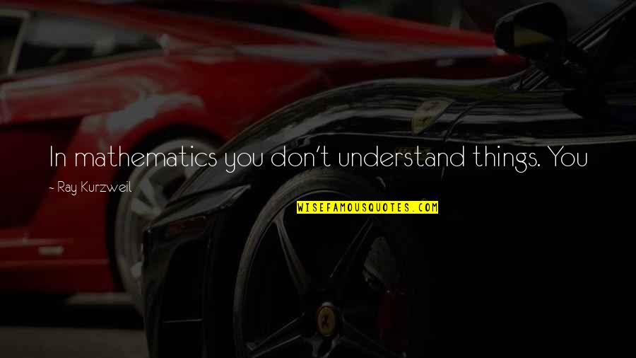 John Neumann Quotes By Ray Kurzweil: In mathematics you don't understand things. You just