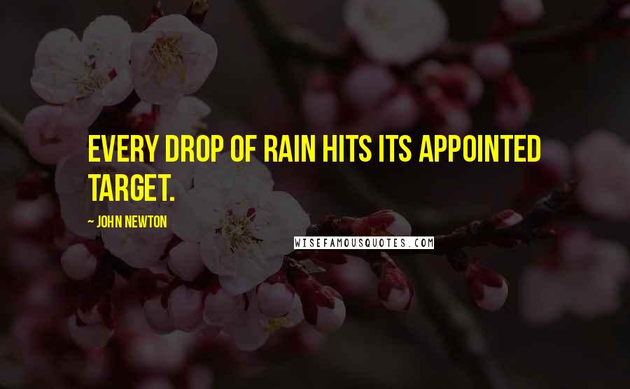 John Newton quotes: Every drop of rain hits its appointed target.