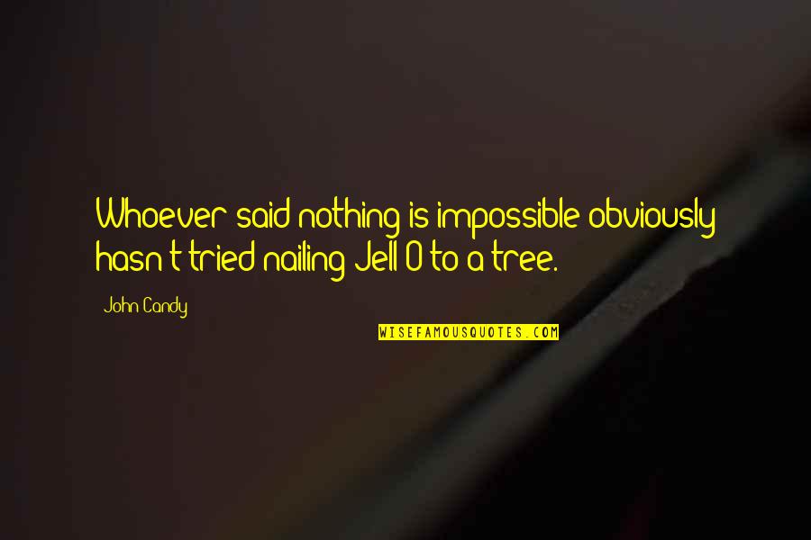 John O'brien Quotes By John Candy: Whoever said nothing is impossible obviously hasn't tried