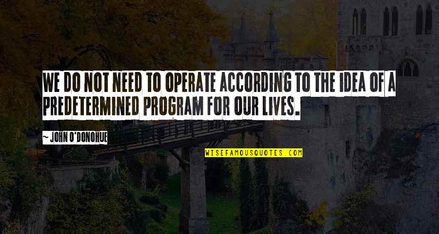 John O'brien Quotes By John O'Donohue: We do not need to operate according to John O'brien Quotes By John O'Donohue: We do not need to operate according to
