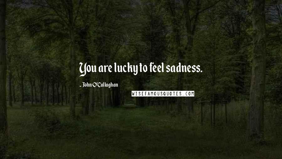 John O'Callaghan quotes: You are lucky to feel sadness.