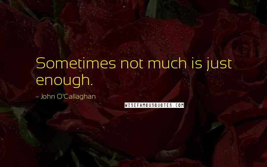 John O'Callaghan quotes: Sometimes not much is just enough.
