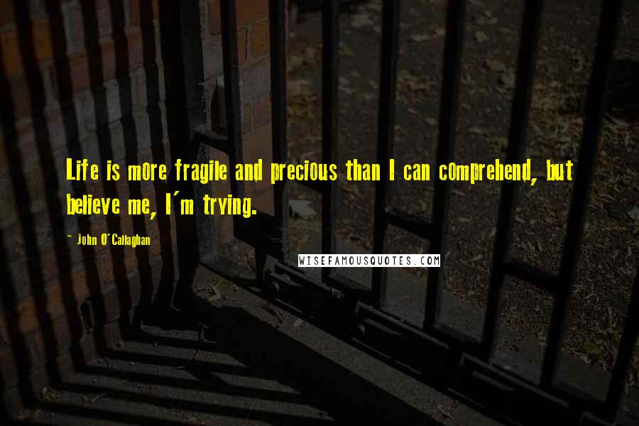 John O'Callaghan quotes: Life is more fragile and precious than I can comprehend, but believe me, I'm trying.