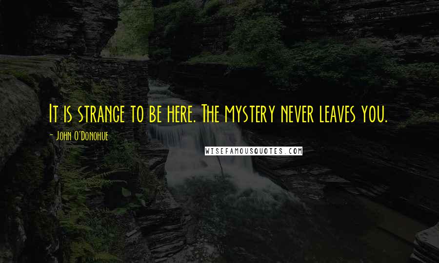 John O'Donohue quotes: It is strange to be here. The mystery never leaves you.
