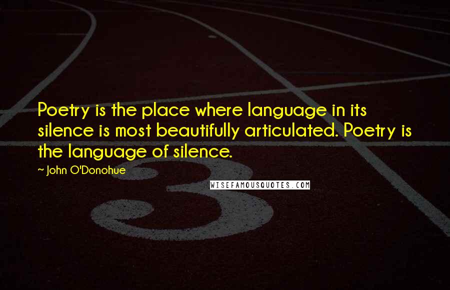 John O'Donohue quotes: Poetry is the place where language in its silence is most beautifully articulated. Poetry is the language of silence.