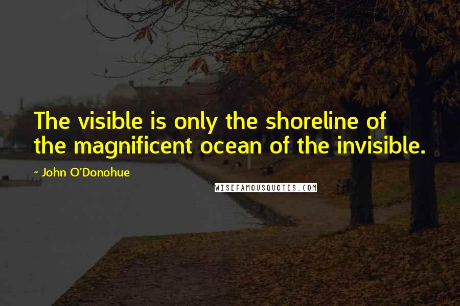 John O'Donohue quotes: The visible is only the shoreline of the magnificent ocean of the invisible.