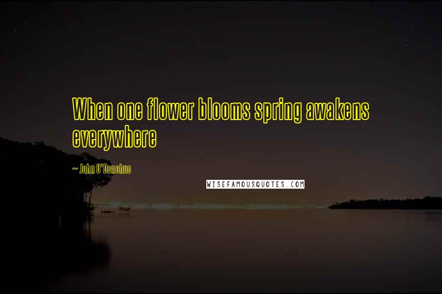 John O'Donohue quotes: When one flower blooms spring awakens everywhere