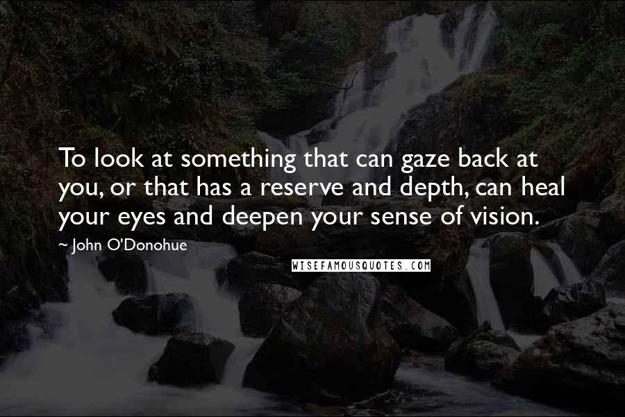 John O'Donohue quotes: To look at something that can gaze back at you, or that has a reserve and depth, can heal your eyes and deepen your sense of vision.