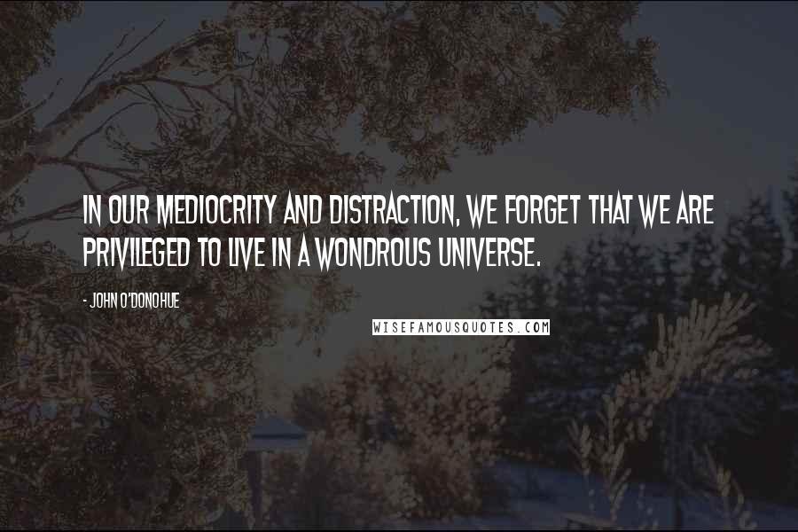 John O'Donohue quotes: In our mediocrity and distraction, we forget that we are privileged to live in a wondrous universe.