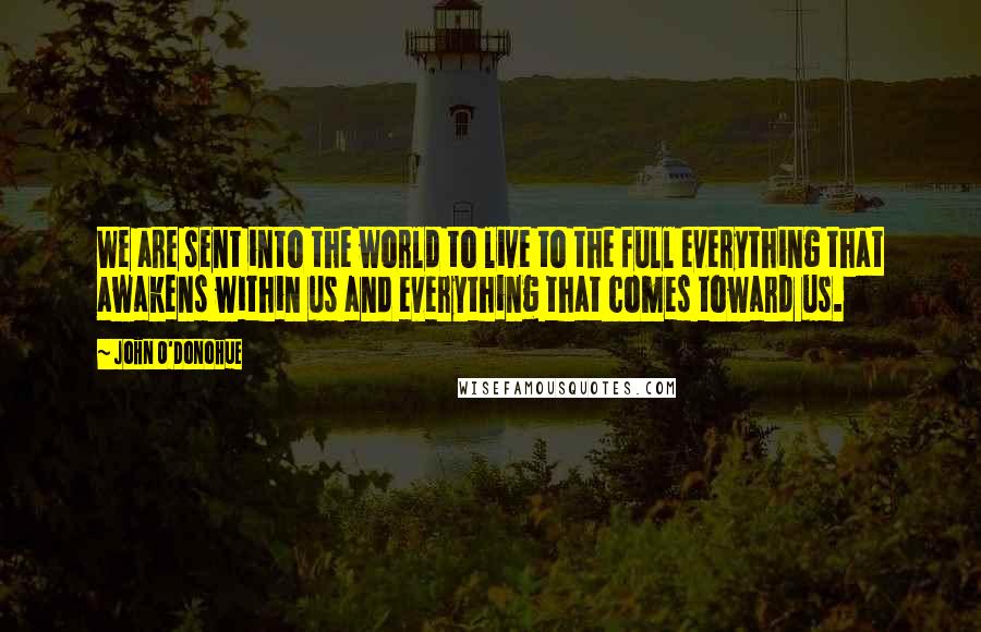 John O'Donohue quotes: We are sent into the world to live to the full everything that awakens within us and everything that comes toward us.