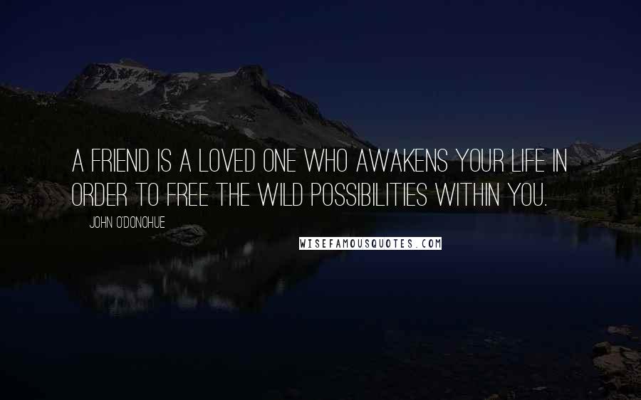 John O'Donohue quotes: A friend is a loved one who awakens your life in order to free the wild possibilities within you.