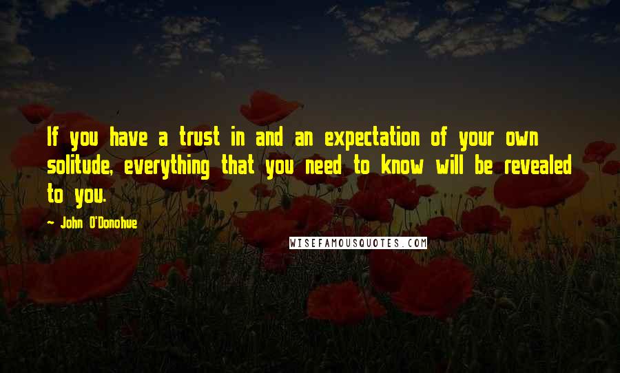 John O'Donohue quotes: If you have a trust in and an expectation of your own solitude, everything that you need to know will be revealed to you.