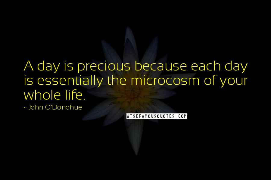 John O'Donohue quotes: A day is precious because each day is essentially the microcosm of your whole life.