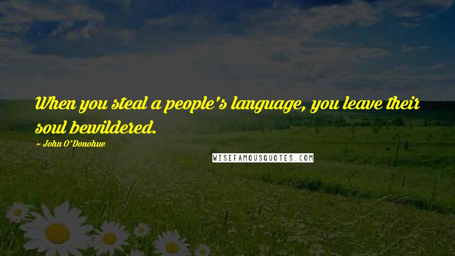 John O'Donohue quotes: When you steal a people's language, you leave their soul bewildered.