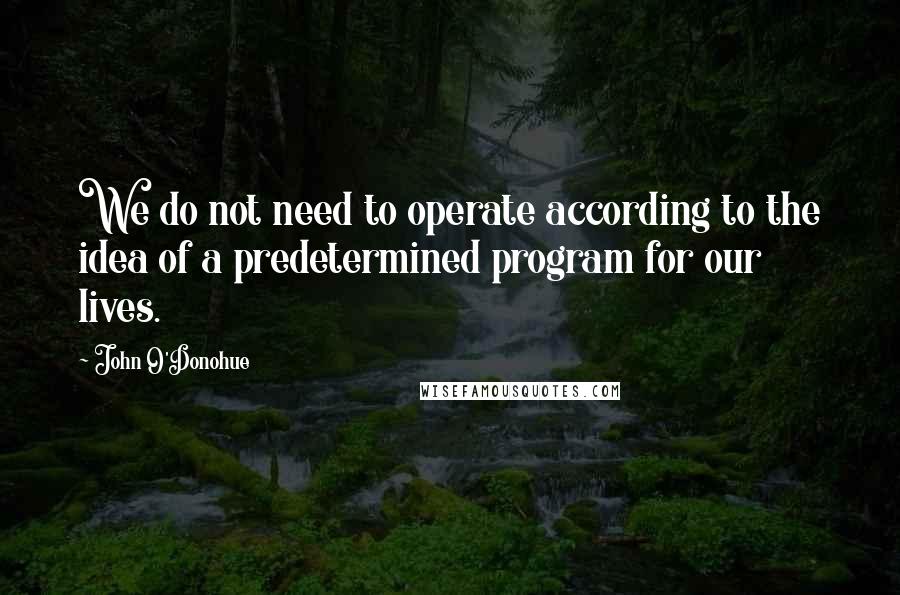 John O'Donohue quotes: We do not need to operate according to the idea of a predetermined program for our lives.