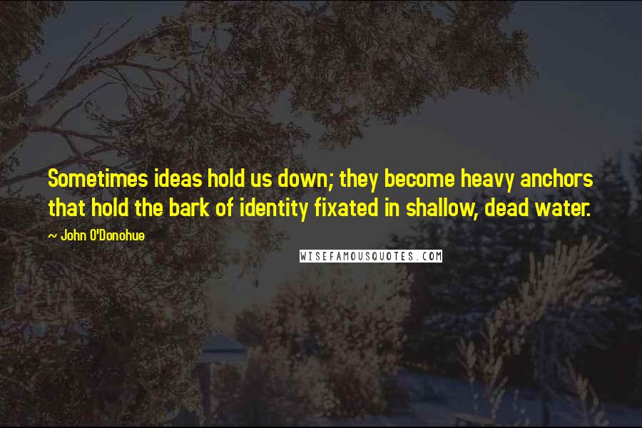 John O'Donohue quotes: Sometimes ideas hold us down; they become heavy anchors that hold the bark of identity fixated in shallow, dead water.