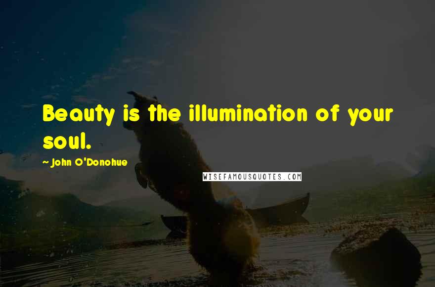 John O'Donohue quotes: Beauty is the illumination of your soul.