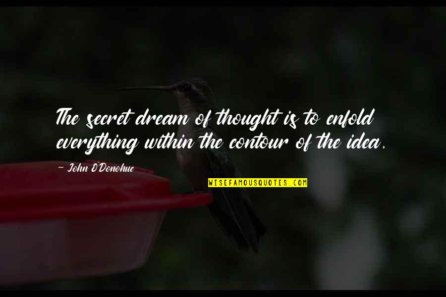 John O'dowd Quotes By John O'Donohue: The secret dream of thought is to enfold