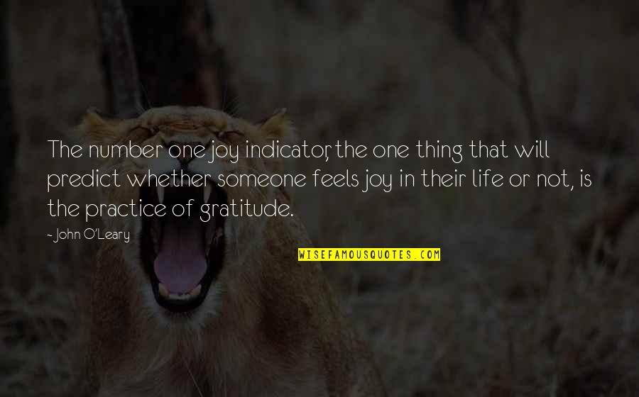 John O'dowd Quotes By John O'Leary: The number one joy indicator, the one thing