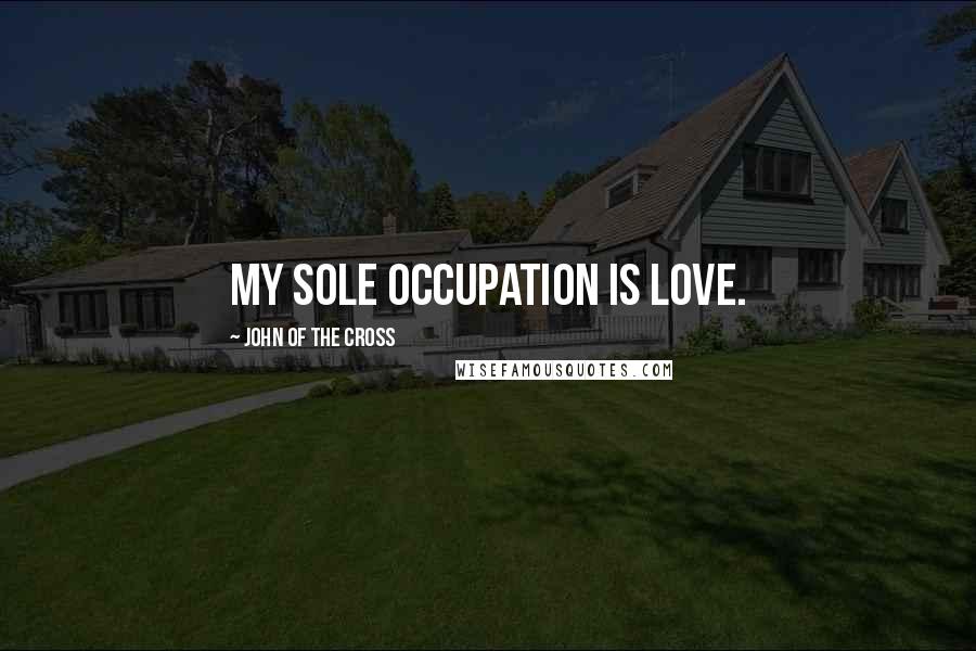 John Of The Cross quotes: My sole occupation is love.