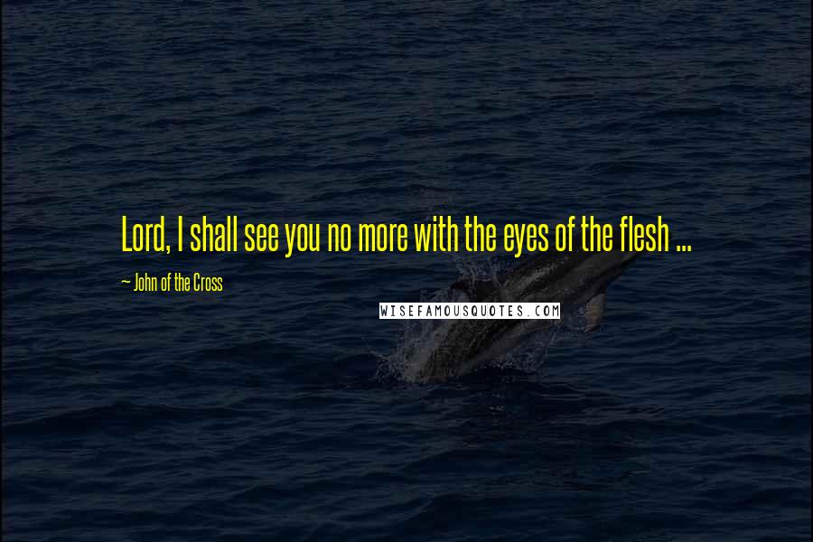 John Of The Cross quotes: Lord, I shall see you no more with the eyes of the flesh ...
