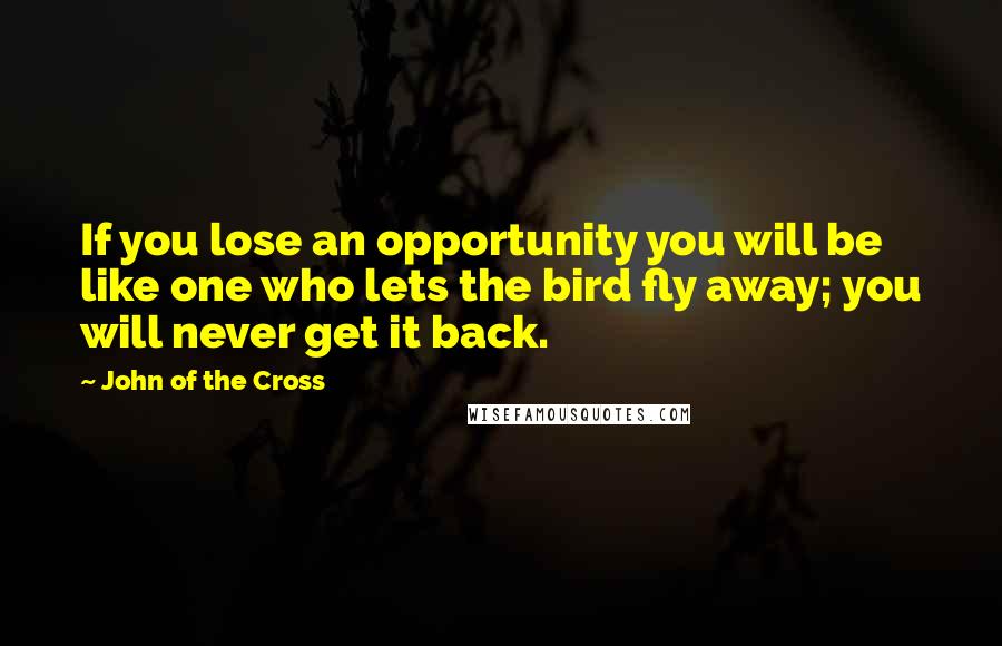 John Of The Cross quotes: If you lose an opportunity you will be like one who lets the bird fly away; you will never get it back.