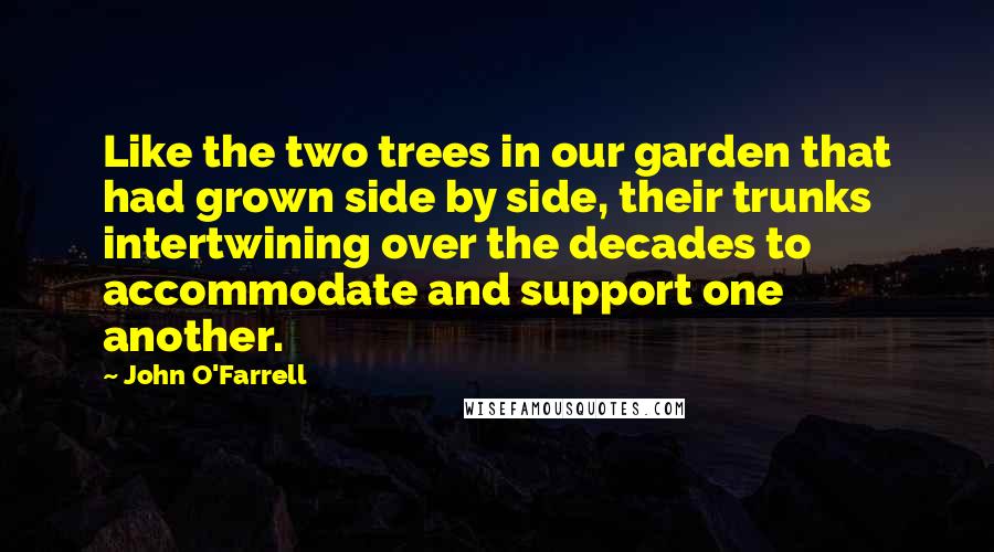 John O'Farrell quotes: Like the two trees in our garden that had grown side by side, their trunks intertwining over the decades to accommodate and support one another.