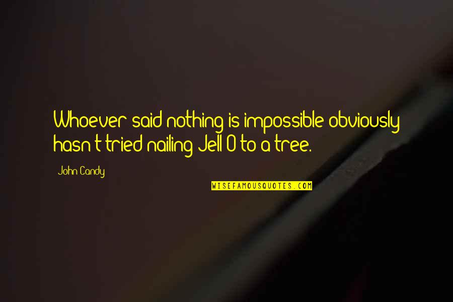 John O'farrell Quotes By John Candy: Whoever said nothing is impossible obviously hasn't tried