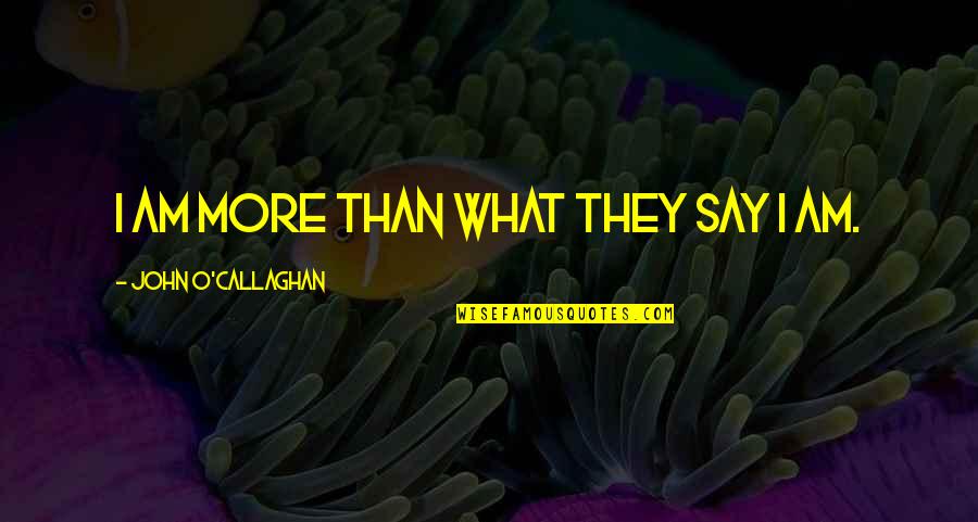 John O'farrell Quotes By John O'Callaghan: I am more than what they say I