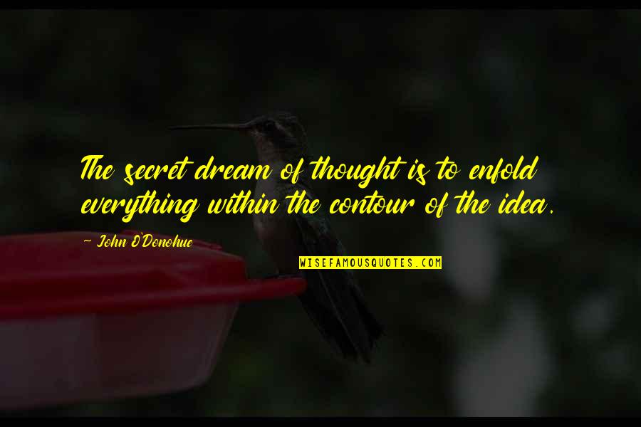 John O'shea Quotes By John O'Donohue: The secret dream of thought is to enfold