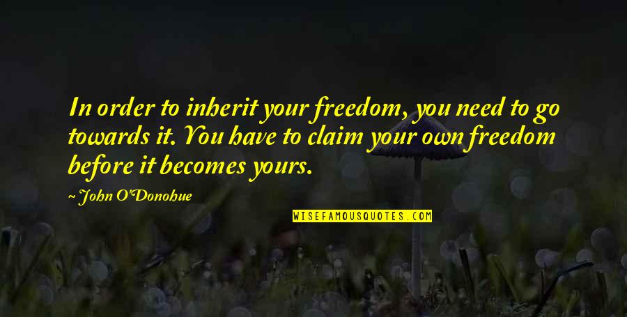 John O'shea Quotes By John O'Donohue: In order to inherit your freedom, you need