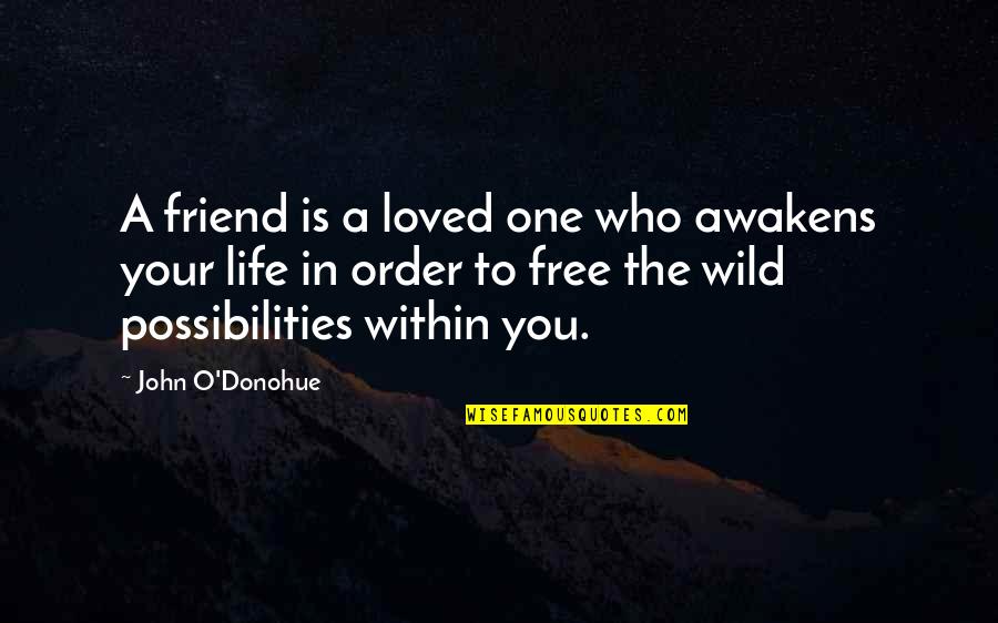 John O'toole Quotes By John O'Donohue: A friend is a loved one who awakens