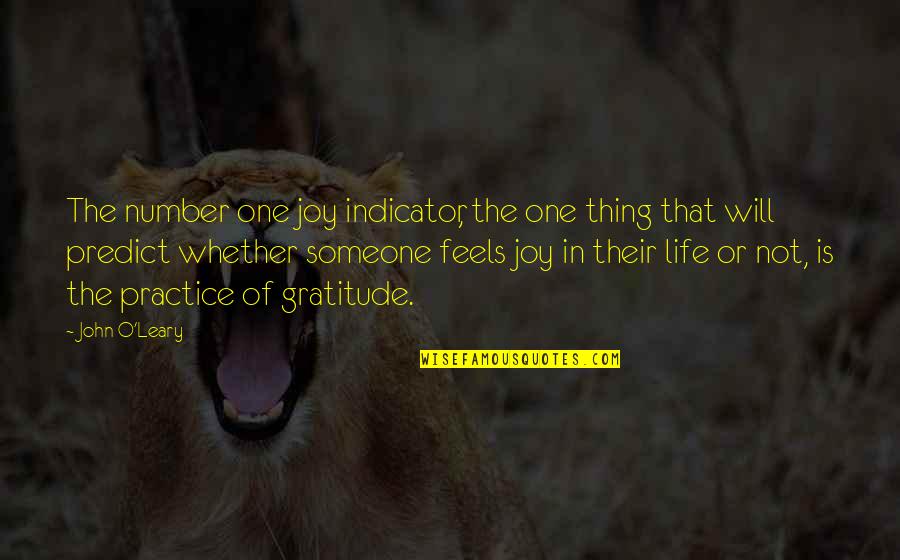 John O'toole Quotes By John O'Leary: The number one joy indicator, the one thing