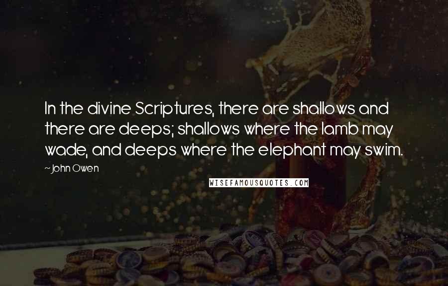 John Owen quotes: In the divine Scriptures, there are shallows and there are deeps; shallows where the lamb may wade, and deeps where the elephant may swim.