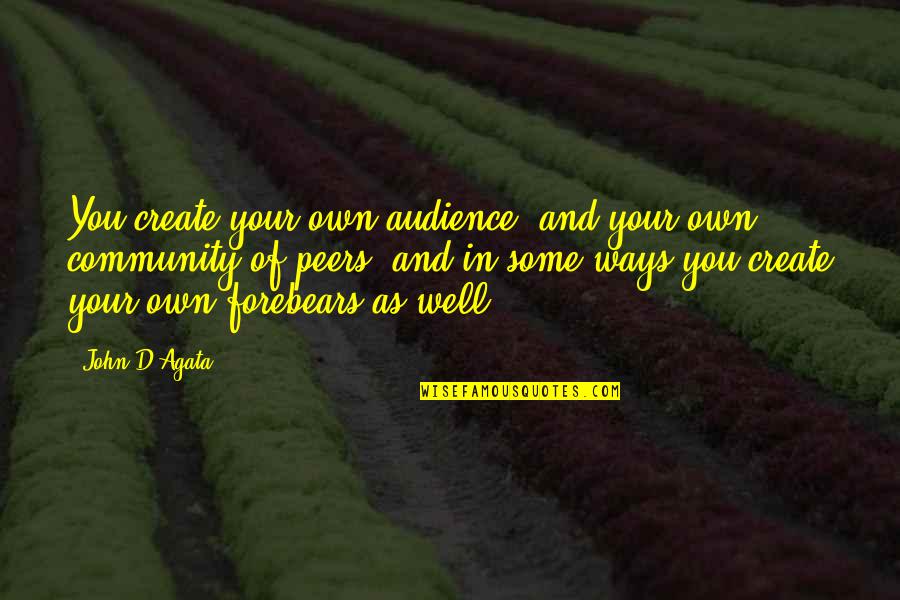 John Peers Quotes By John D'Agata: You create your own audience, and your own