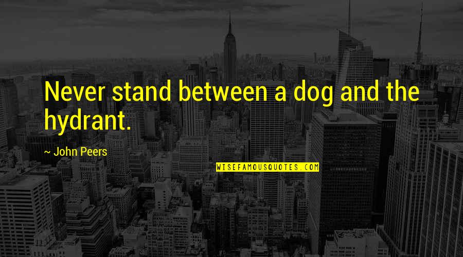 John Peers Quotes By John Peers: Never stand between a dog and the hydrant.