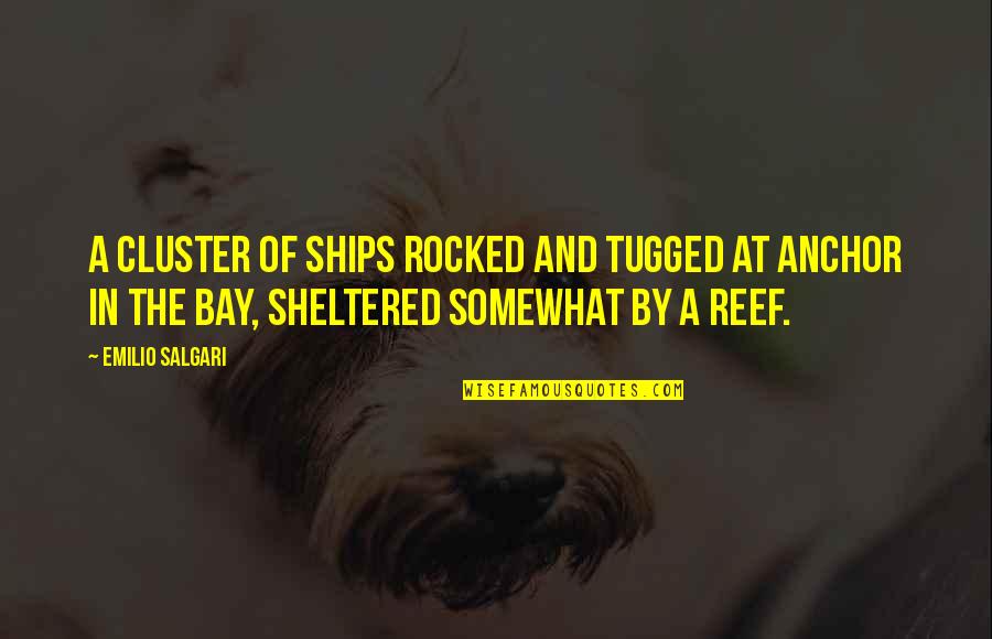 John Peter Muhlenberg Quotes By Emilio Salgari: A cluster of ships rocked and tugged at