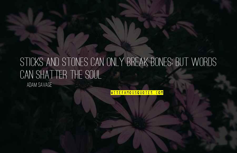 John Pfeiffer Quotes By Adam Savage: Sticks and stones can only break bones; but