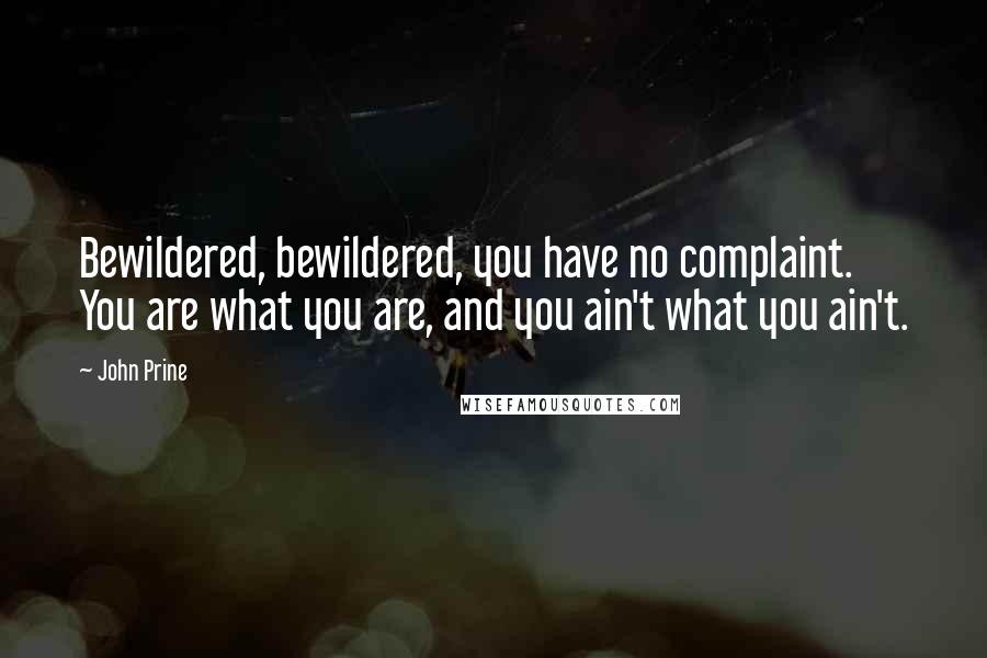 John Prine quotes: Bewildered, bewildered, you have no complaint. You are what you are, and you ain't what you ain't.