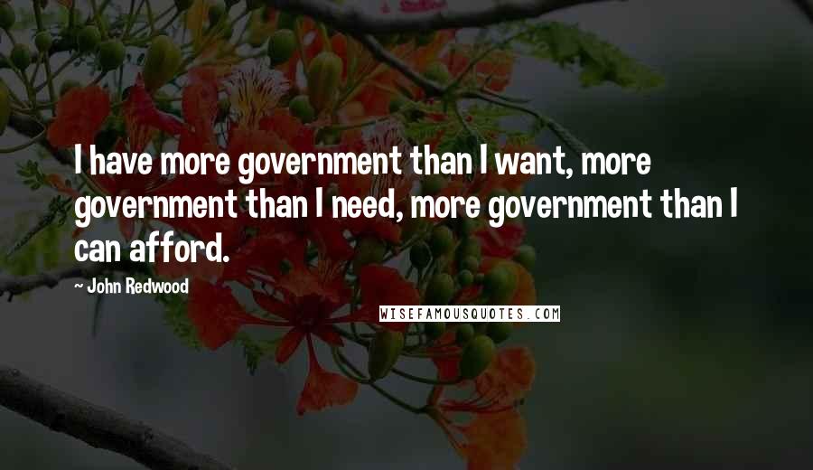 John Redwood quotes: I have more government than I want, more government than I need, more government than I can afford.