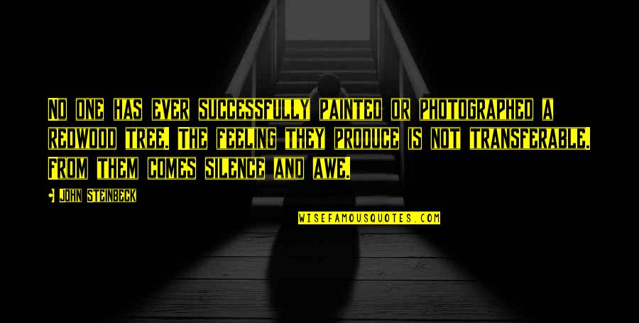 John Redwood Quotes By John Steinbeck: No one has ever successfully painted or photographed
