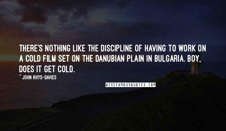 John Rhys-Davies quotes: There's nothing like the discipline of having to work on a cold film set on the Danubian plain in Bulgaria. Boy, does it get cold.