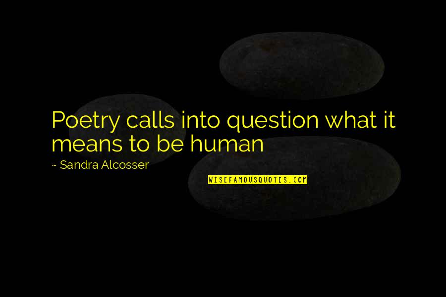 John Robert Wooden Quotes By Sandra Alcosser: Poetry calls into question what it means to