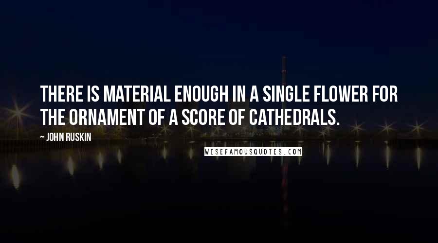 John Ruskin quotes: There is material enough in a single flower for the ornament of a score of cathedrals.