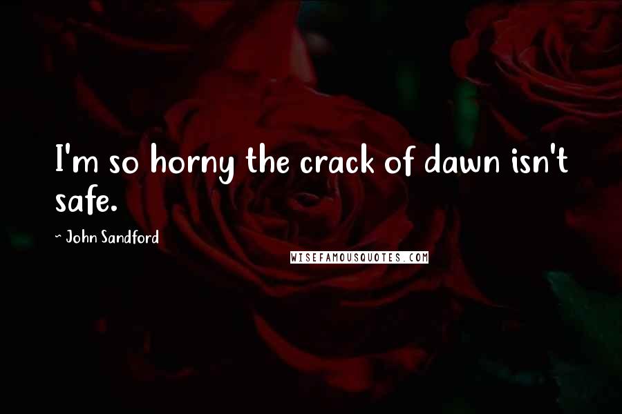 John Sandford quotes: I'm so horny the crack of dawn isn't safe.