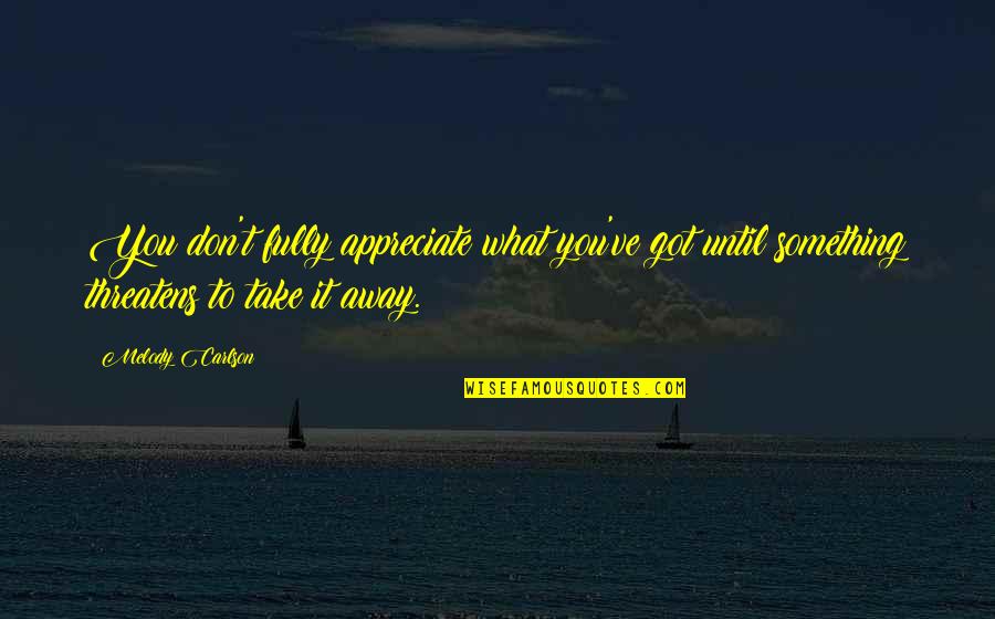 John Schnatter Quotes By Melody Carlson: You don't fully appreciate what you've got until John Schnatter Quotes By Melody Carlson: You don't fully appreciate what you've got until