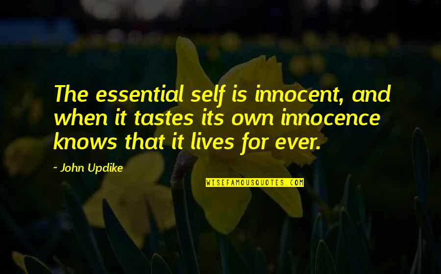 John Self Quotes By John Updike: The essential self is innocent, and when it