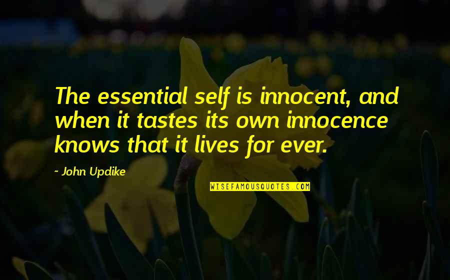 John Self Quotes By John Updike: The essential self is innocent, and when it John Self Quotes By John Updike: The essential self is innocent, and when it