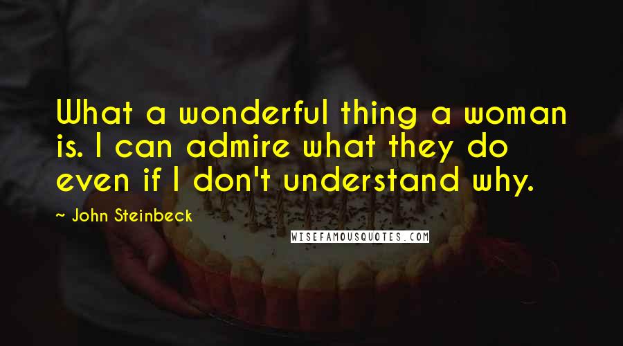 John Steinbeck quotes: What a wonderful thing a woman is. I can admire what they do even if I don't understand why.